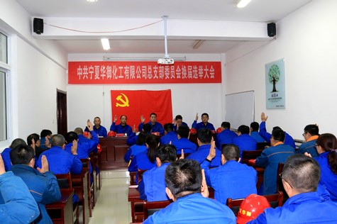 寧夏華御黨總支隆重召開(kāi)換屆選舉黨員大會(huì )