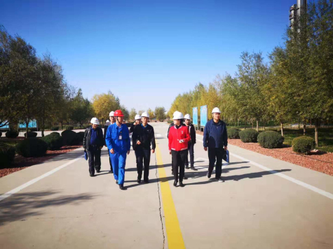 中衛市政協(xié)副主席呂玉蘭到寧夏華御調研化工產(chǎn)業(yè)發(fā)展工作