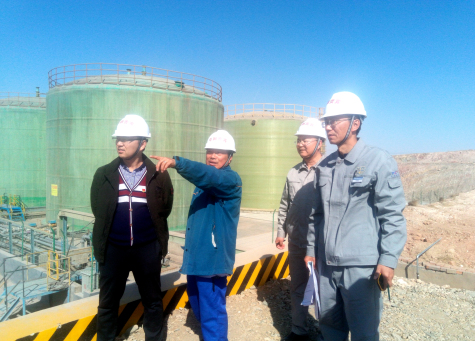 國務(wù)院安委辦專(zhuān)家組 對寧夏華御安全生產(chǎn)工作進(jìn)行全面指導