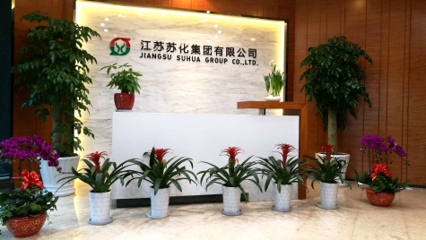 掛燈籠，貼春聯(lián)  蘇化科技園內年味濃