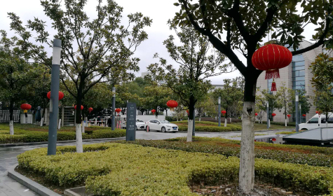 掛燈籠，貼春聯(lián)  蘇化科技園內年味濃