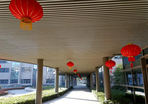 掛燈籠，貼春聯(lián)  蘇化科技園內年味濃