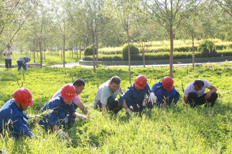營(yíng)造優(yōu)美環(huán)境 共建美麗華御