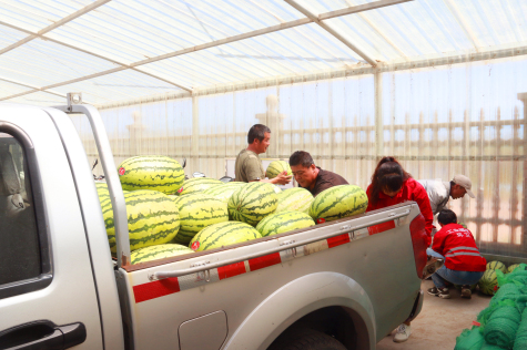 情系環(huán)衛工 盛夏送清涼