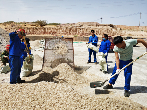 寧夏華御團委組織團員青年突擊勞動(dòng)